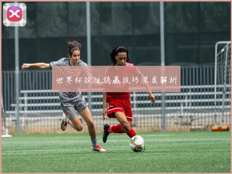 世界杯投注稳赢技巧深度解析