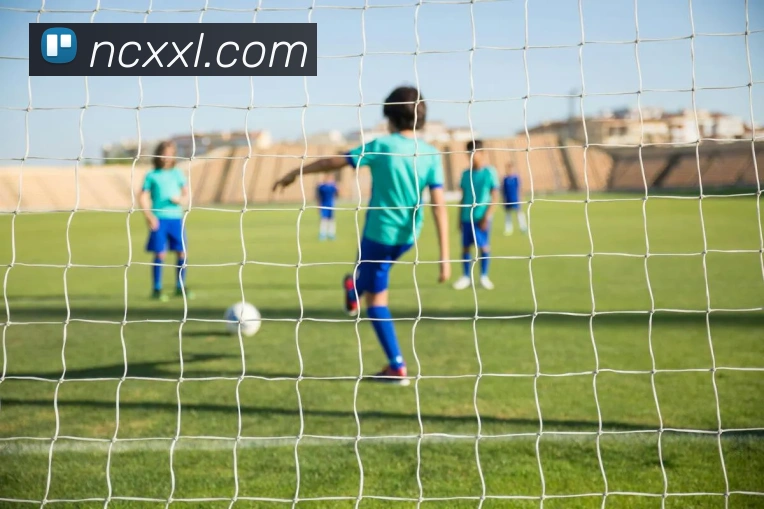 星空官网免费入口品牌故事