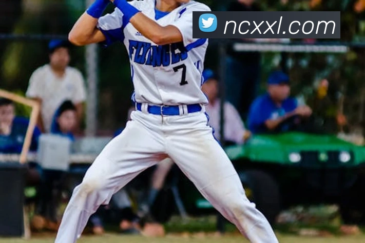 星空官网免费入口服务体系