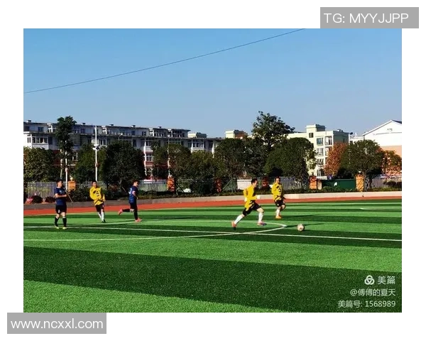 绿茵豪情与诗意交织细读足球球星人生华彩篇章